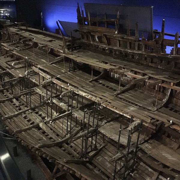 Mary Rose 2018