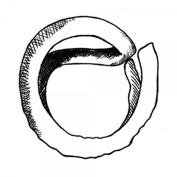 Sussex loop illustration